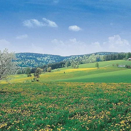 Steinwaldhaus Hotel